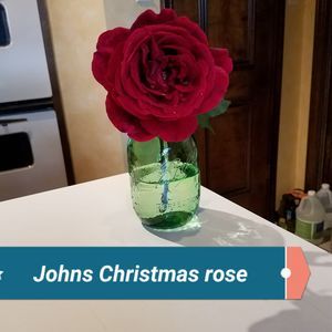 Meet your Posher, Joy